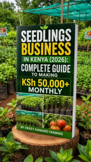Seedlings Business in Kenya (2026): Complete Guide to Making KSh 50,000+ Monthly