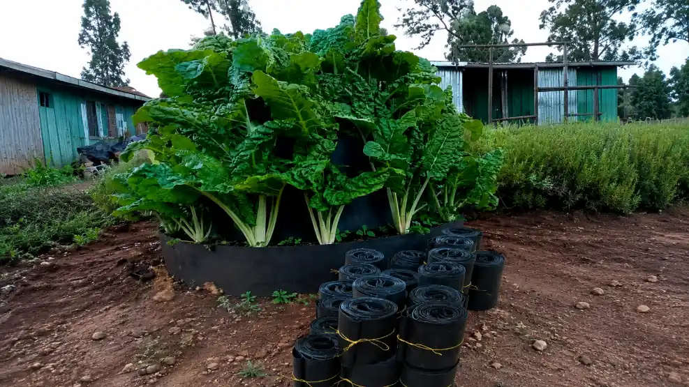 Multi-Storey Garden Price in Kenya (2026)