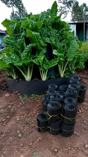 Multi-Storey Garden Price in Kenya (2026) | 5-Storey Vertical Garden Tower