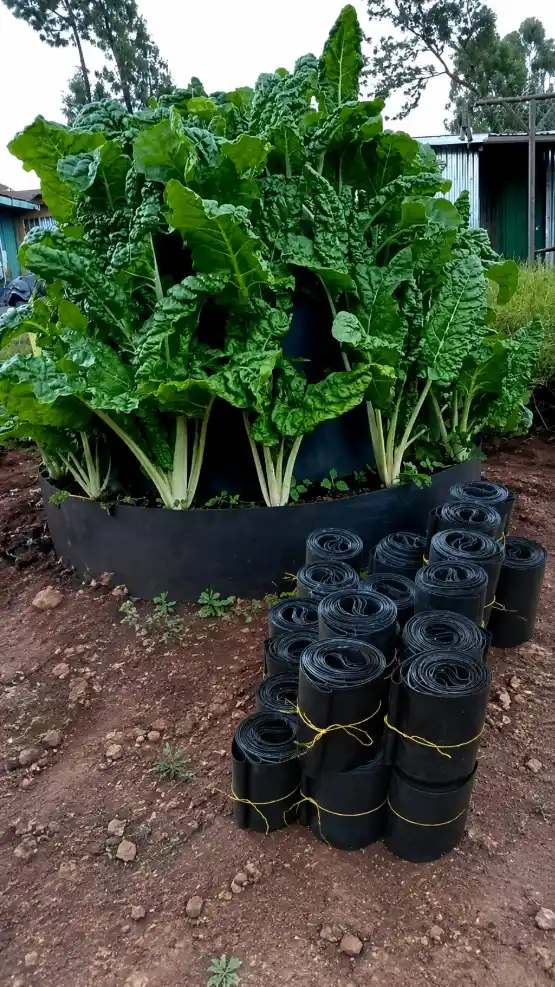 Multi-Storey Garden Price in Kenya (2026) | 5-Storey Vertical Garden Tower 1 Multi-Storey Garden Price in Kenya (2026) | 5-Storey Vertical Garden Tower