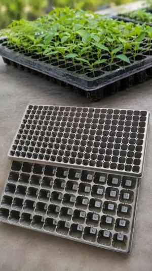50 Cell Plastic Seedling Trays for vegetable nursery and greenhouse farming in Kenya