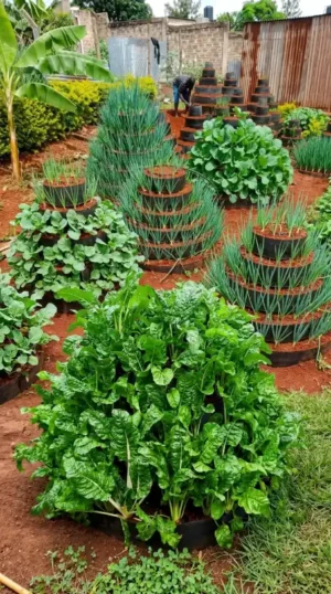 6 Layer Vertical Multi-Storey Garden System in Kenya