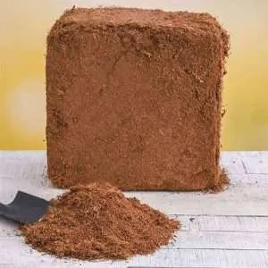 coco-peat-kenya