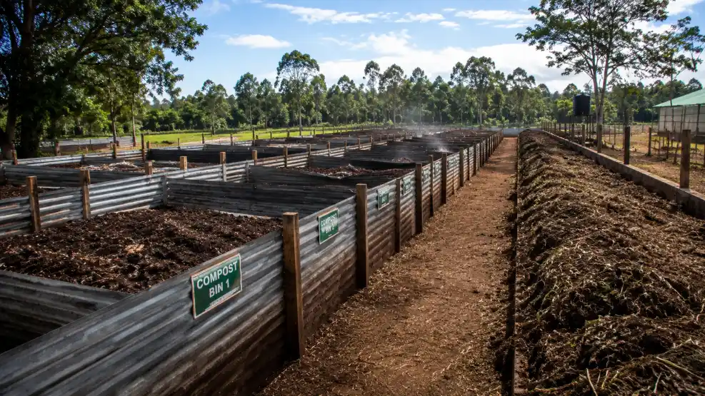 Rows of large corrugated metal compost bins sit in an outdoor agricultural facility next to a long dirt path and a forest under a bright sky.