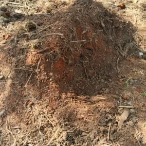 Buy Compost Manure Online in Kenya | Compost for Sale | 70kg bag