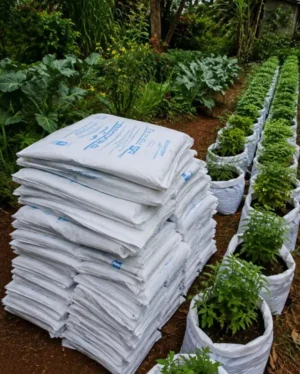 White UV Treated Grow Bags in Kenya | Durable Planting Bags for Vegetables