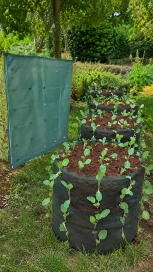 Vertical grow bags for vegetables and urban farming in Kenya