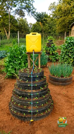 6 Layer Multi-Storey Vertical Garden with Drip Irrigation System in Kenya