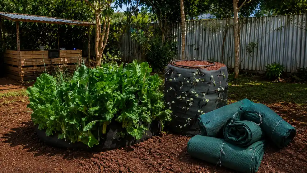 5 Best Space-Saving Grow Bags in Kenya: Types, Prices, Uses & Where to Buy 5 Vegetables Growing In A Net Grow Bags