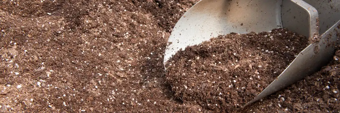 20 Best Vegetables and Dwarf Fruits to Grow in Sacks in Kenya 2026 14 A metal garden scoop is partially buried in a pile of dark potting soil mixed with white perlite.