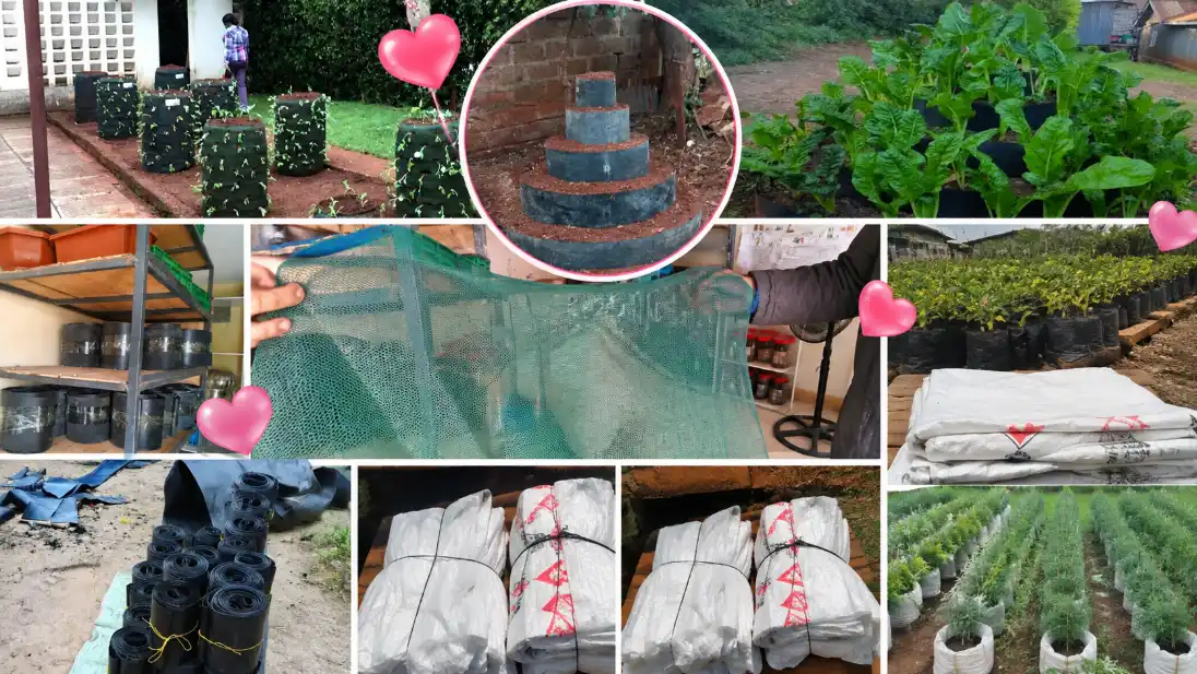 How to Prepare Grow Bags and Hydroponic Trays in Kenya 1 buy grow bags in kenya