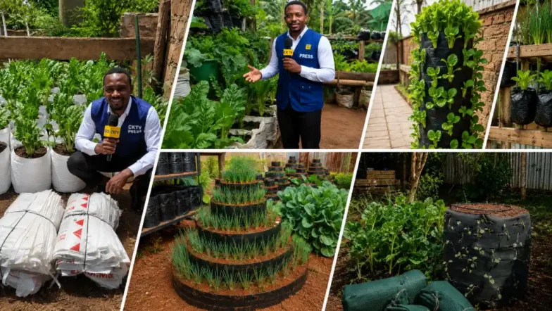 5 Best Space-Saving Grow Bags in Kenya: Types, Prices, Uses & Where to Buy