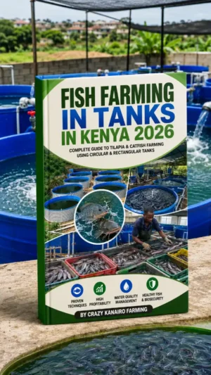 Fish Farming in Tanks in Kenya 2026 | Complete Guide