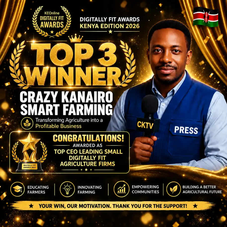 Top 3 Winners of the Digitally Fit Awards  Kenyan Edition 2026