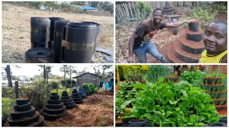 Vertical Gardening in Kenya: Setup Costs, Best Crops and Profits in 2027