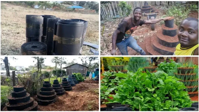 Vertical Gardening in Kenya: Setup Costs, Best Crops and Profits in 2027